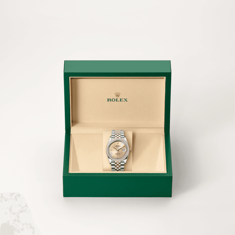 rolex Datejust in Everose Rolesor - combination of Oystersteel and Everose gold, M126281RBR-0037 - Global Watch Company (GWC)