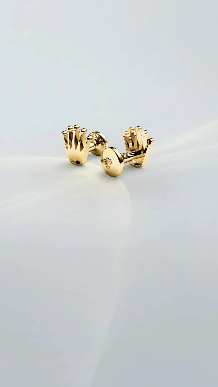 Rolex accessories