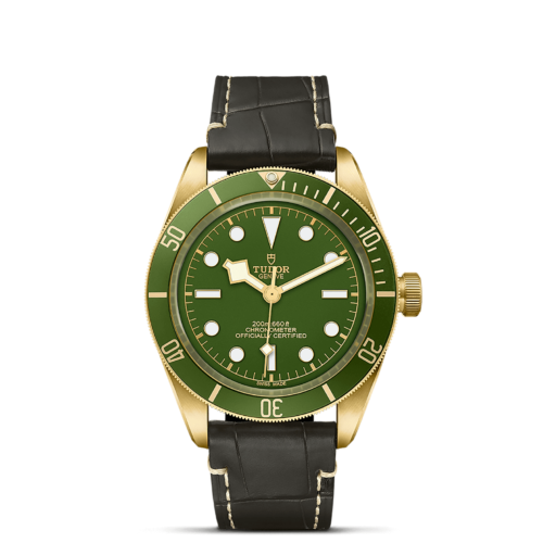 tudor M79018V-0001 green dial.