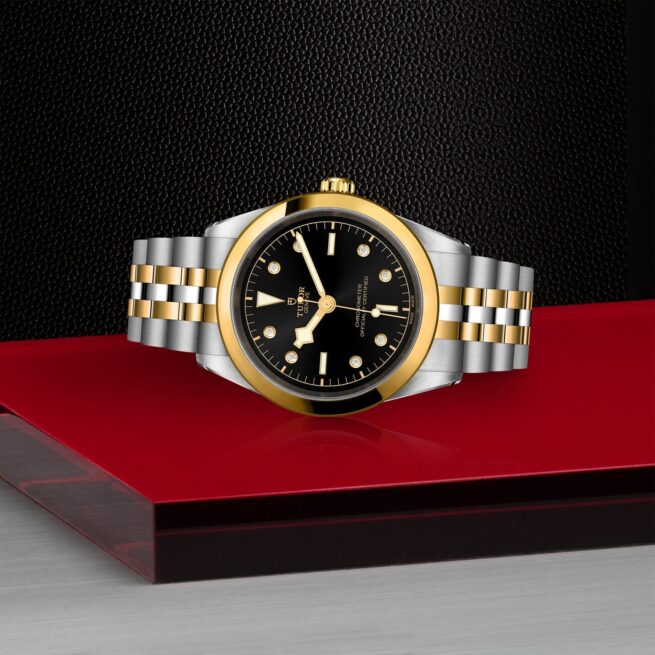 A tudor M79683-0006 watch on a red table.