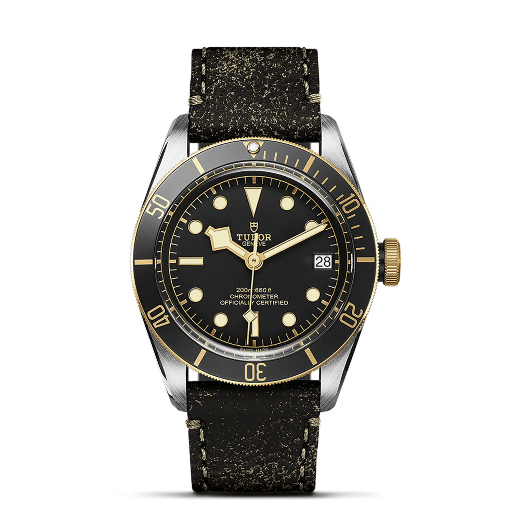 時計 TUDOR BLACK BAY TUDOR Black Bay S&G (M79733N-0007) | Official TUDOR Retailer