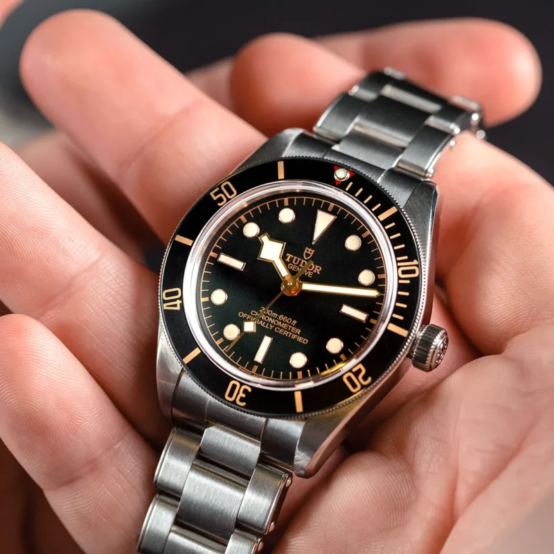 A person is holding a tudor M79030N-0001 watch.