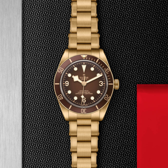 tudor M79012M-0001 gold watch.