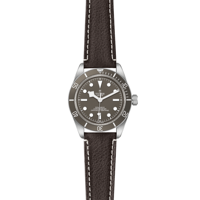 A M79010SG-0001 on a brown leather strap.