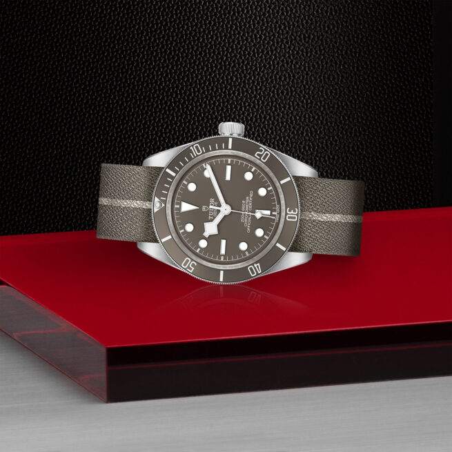 A tudor Black Bay M79010SG-0002 watch on a red surface.