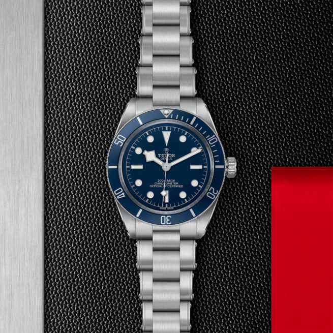 A tudor watch with a blue dial, such as the M79030B-0001.