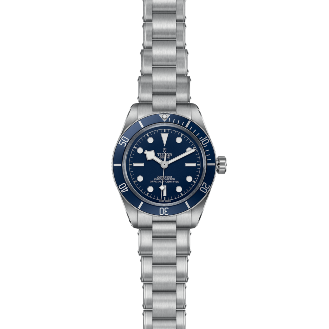 The tudor M79030B-0001 watch with blue dial.