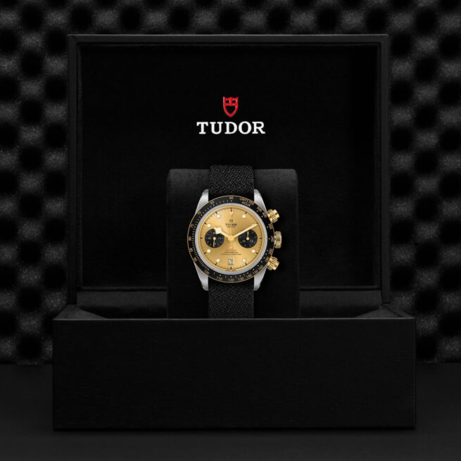 A M79363N-0006 tudor watch in a black box.