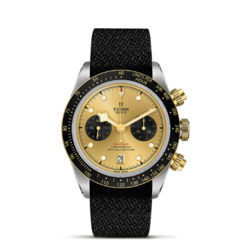 The tudor M79363N-0006 with gold dial and black strap.