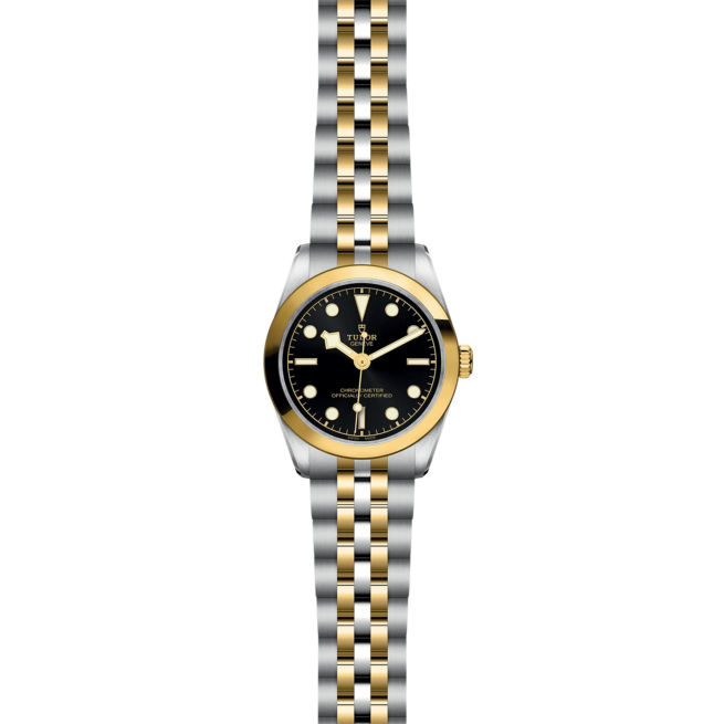 A tudor Black Bay M79603-0001 watch on a black background.