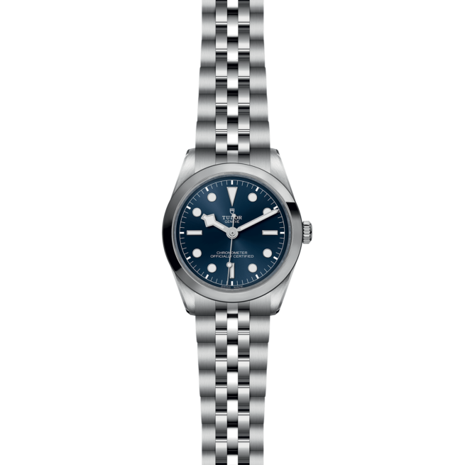 A tudor watch with a blue dial, model M79640-0002.