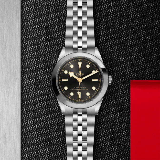 A tudor Black Bay watch with a black dial.