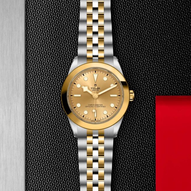 A M79663-0005 tudor watch on a black background.