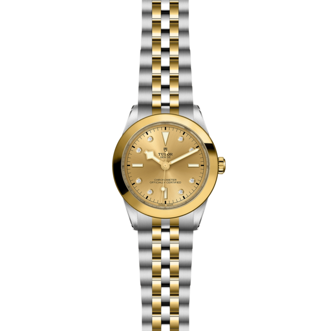 A ladies tudor watch with a M79663-0008 dial.