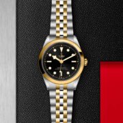 A tudor M79683-0001 watch on a red background.