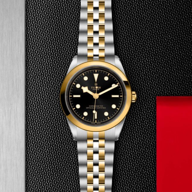 A tudor M79683-0001 watch on a red background.