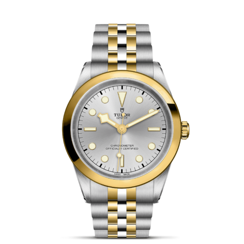 A tudor M79683-0002 with a gold and silver dial.