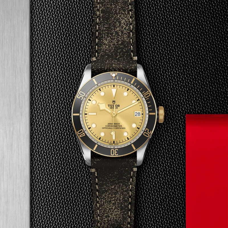 A M79733N-0003 watch on a black leather strap.