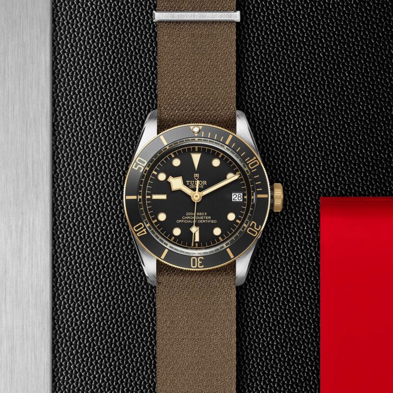 A M79733N-0005 watch on a black leather strap.