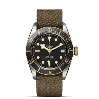 The M79733N-0005 on a brown leather strap.