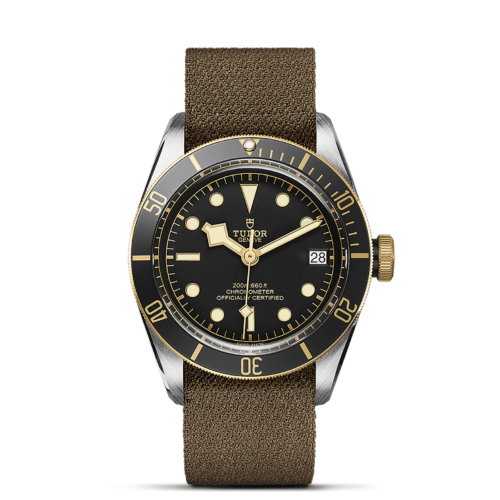 The M79733N-0005 on a brown leather strap.