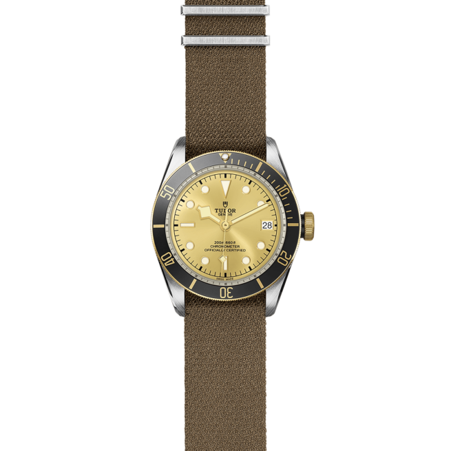 A M79733N-0006 watch with a brown strap.