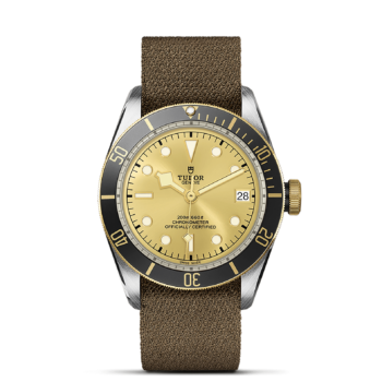 A tudor M79733N-0006 with a gold dial and brown strap.