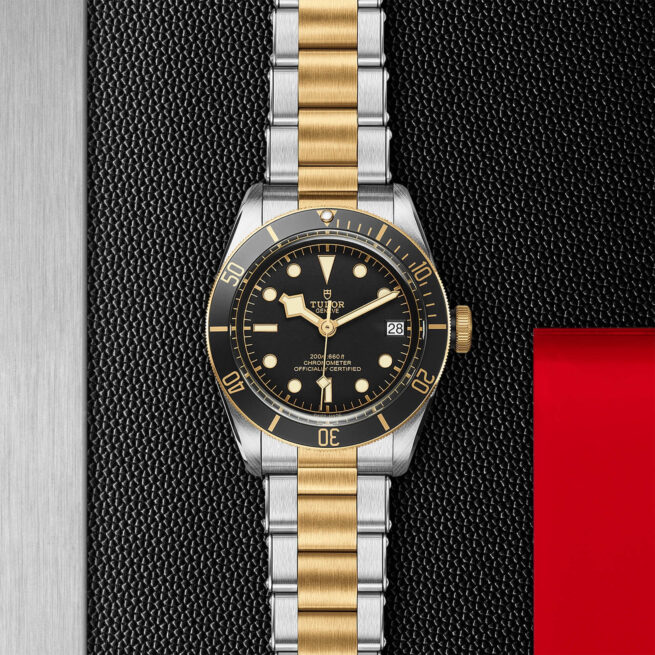 A tudor Black Bay M79733N-0008 watch on a black background.