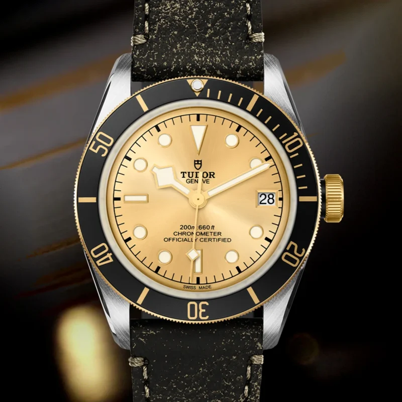 A M79733N-0003 with a gold dial and black leather strap.