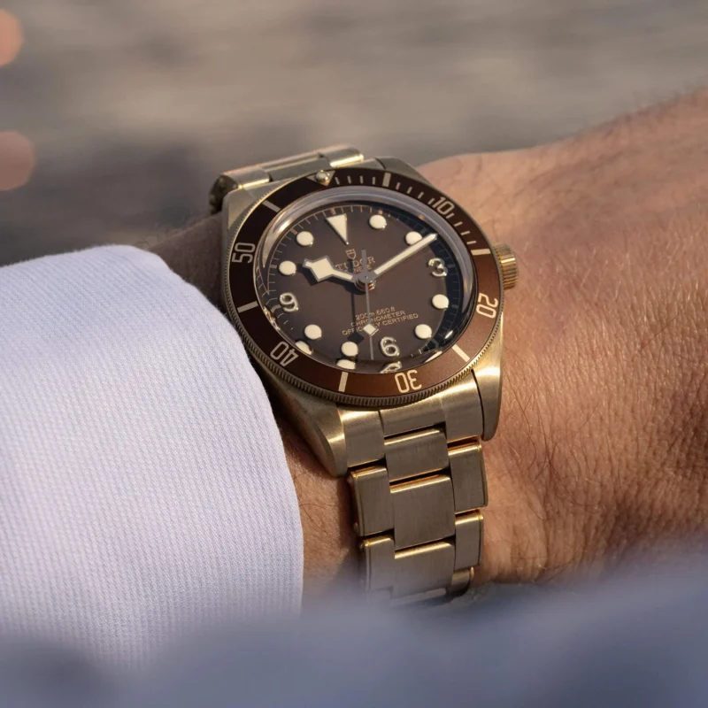 A person wearing a tudor M79012M-0001 watch.