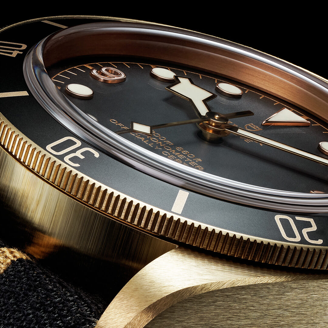 Tudor black bay gold and black dial watch.