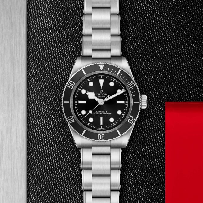 A silver Tudor dive watch with a black face and metal bracelet is displayed against a textured dark background with a hint of red.