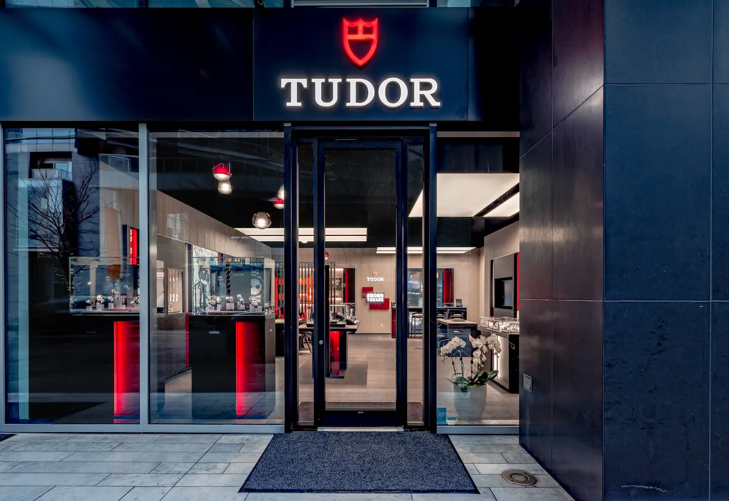 Tudor1106 5