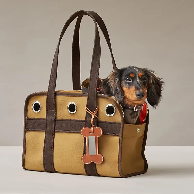 A dachshund peeking out of a stylish tan and brown designer tote bag.